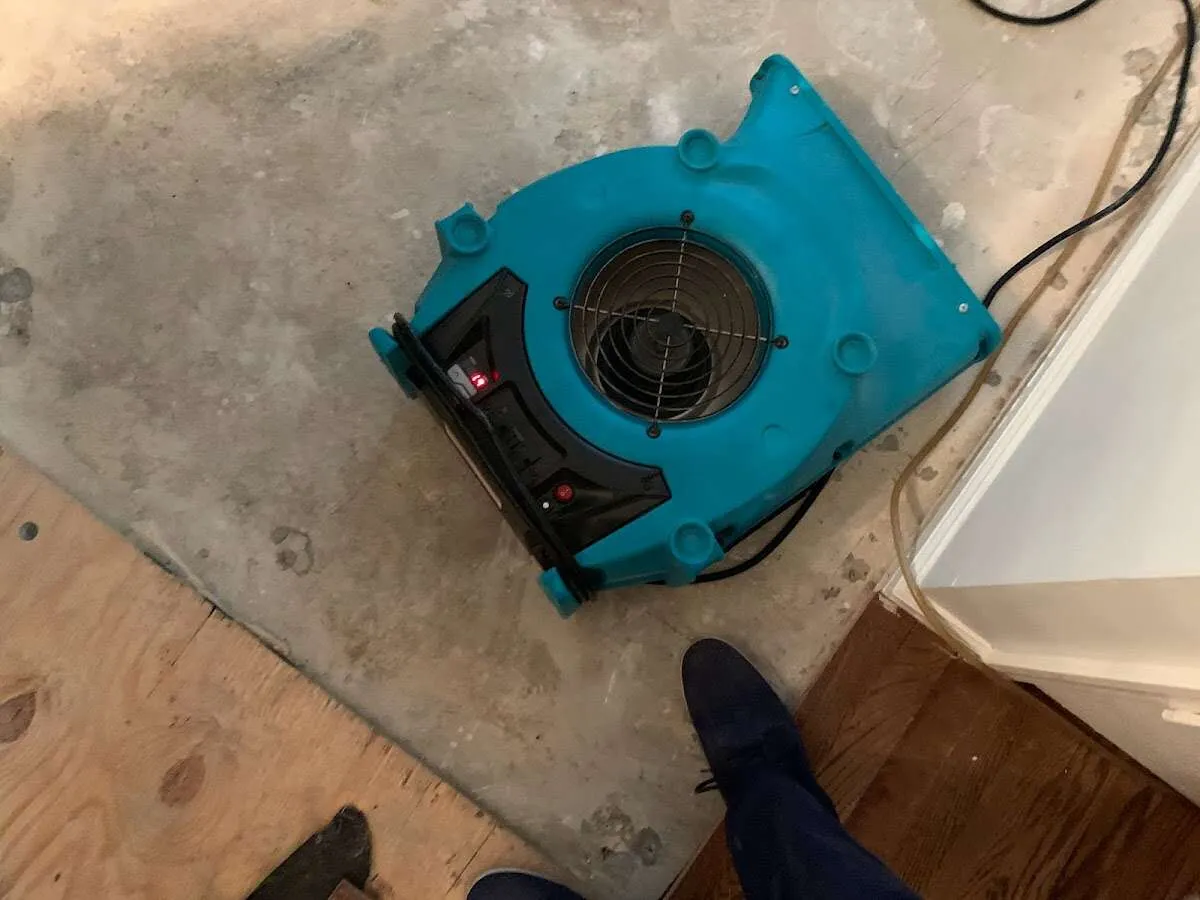 Air mover drying subfloor during Leak Detection & Repair in White Plains